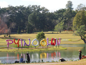 National Botanical Kandawgyi Gardens