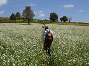 Inlay Trek Myanmar