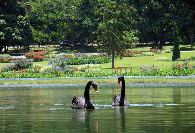 National Kandawgyi Gardens - Pyin Oo Lwin Myanmar