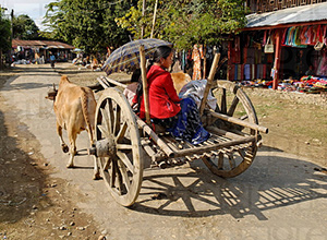 Putao Myanmar